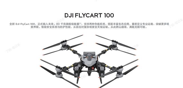 大疆機(jī)巢價格解析與運(yùn)載機(jī)FC30配置概述，兼談信息技術(shù)咨詢服務(wù)