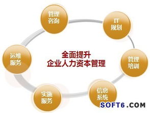 技術(shù)重塑管理 用友HCM博弈人力資源管理軟件市場