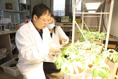 探秘昆明理工大學(xué) 走進(jìn)云南省三七資源可持續(xù)利用重點(diǎn)實(shí)驗(yàn)室